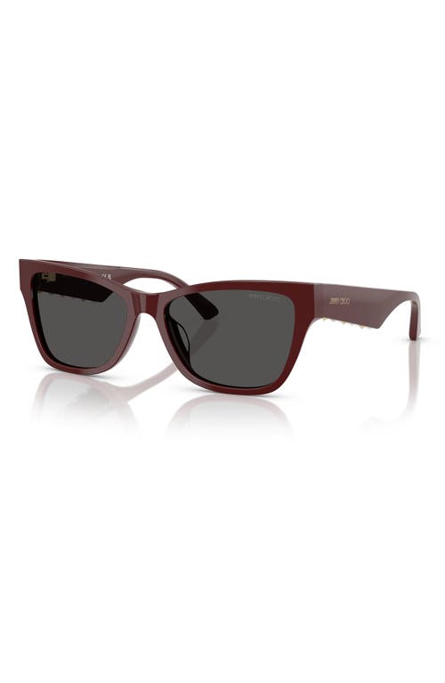 Jimmy Choo 55mm Pillow Sunglasses In Red