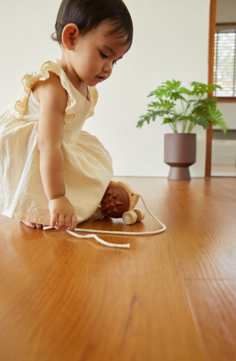 PlanToys<sup>®</sup> Hedgehog Pull Along Toy, Alternate, color, Brown