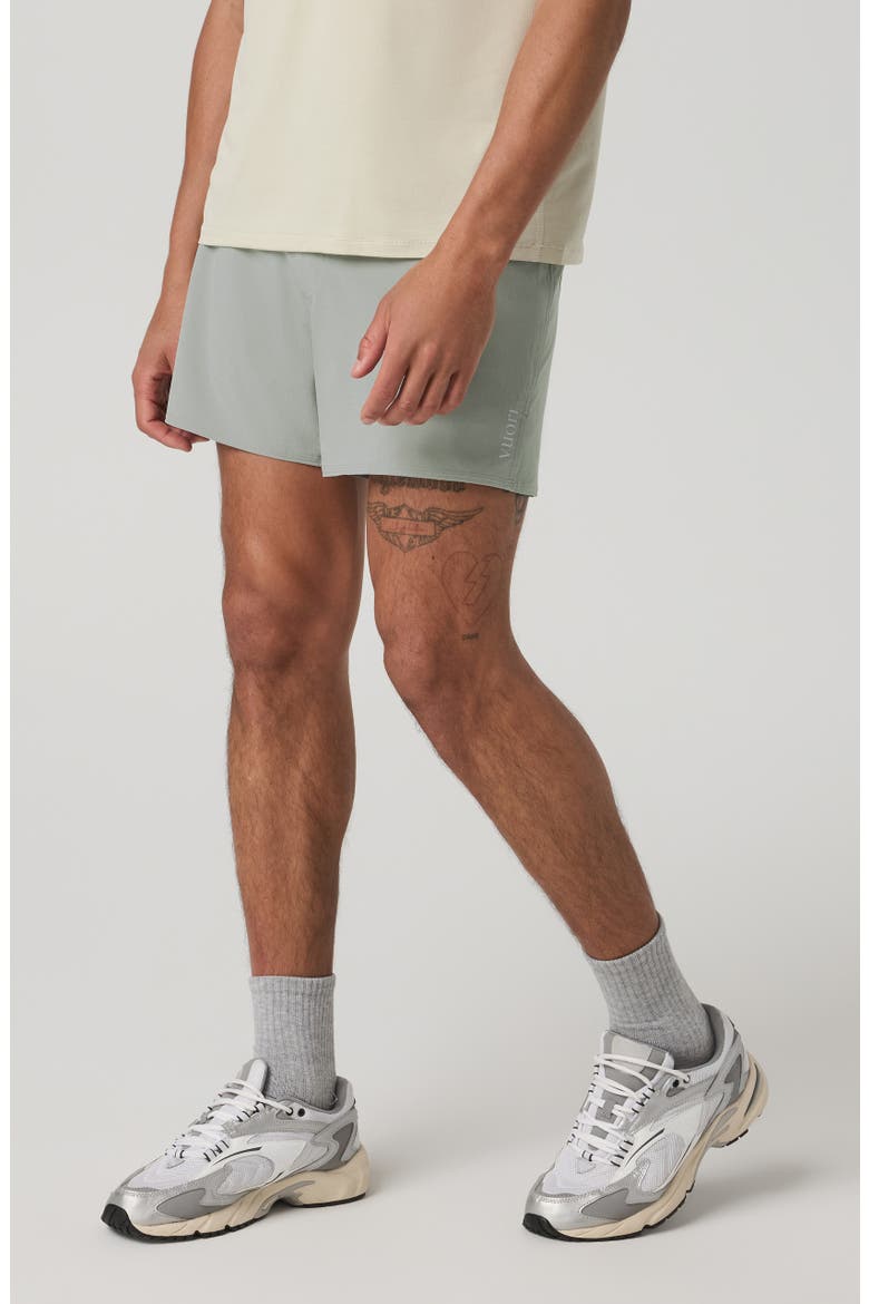 Terrain 5-Inch Lined Running Shorts, Alternate, color, SLATE ROCK