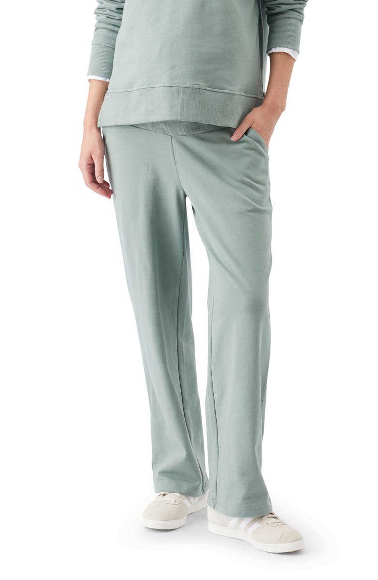 Ripe Maternity Relax Jogger, Main, color, Sage