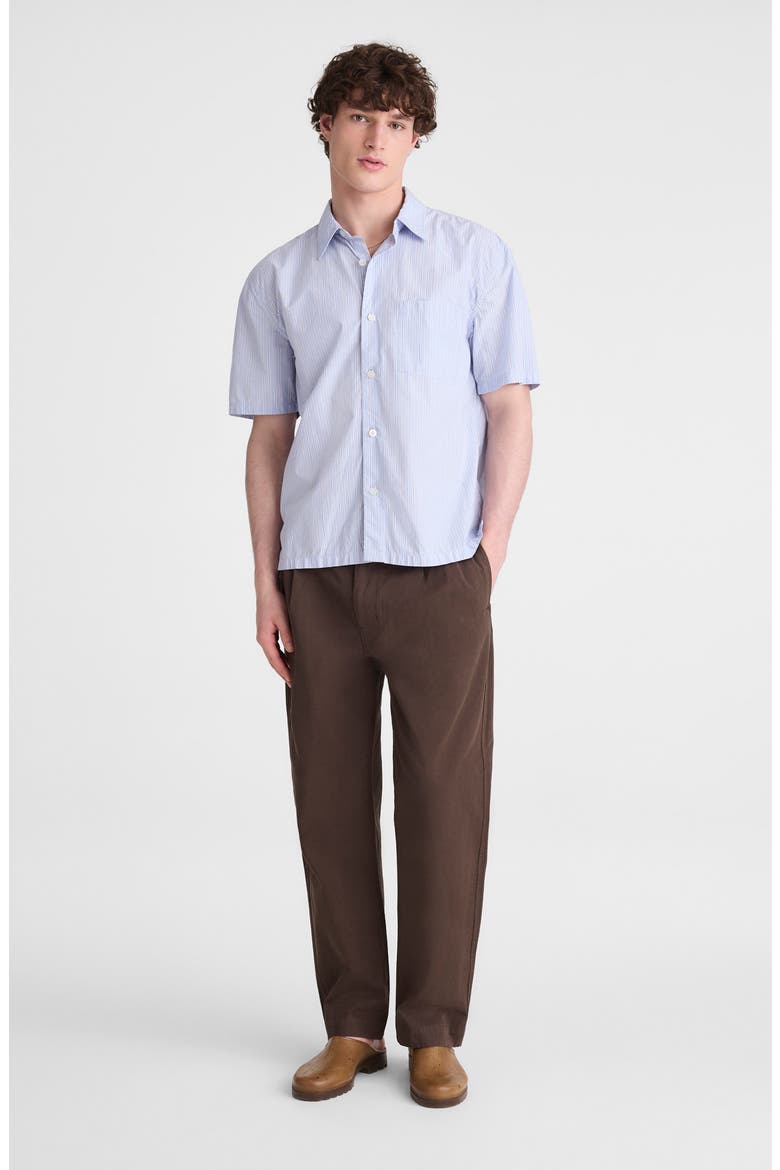 Pleated Chino Pants, Alternate, color, CHOCOLATE