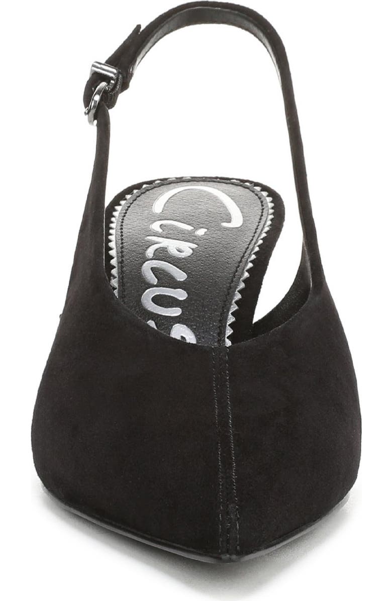 Circus NY by Sam Edelman Fawn Pointed Toe Slingback Pump, Alternate, color, Black