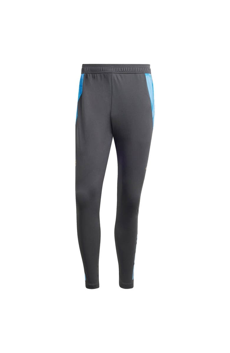 adidas Men's adidas Gray Argentina National Team 2024 AEROREADY Training Pants, Main, color, Gray