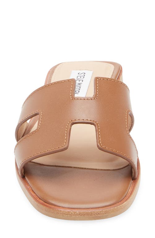 Steve Madden Hadyn Slide Sandal In Brown