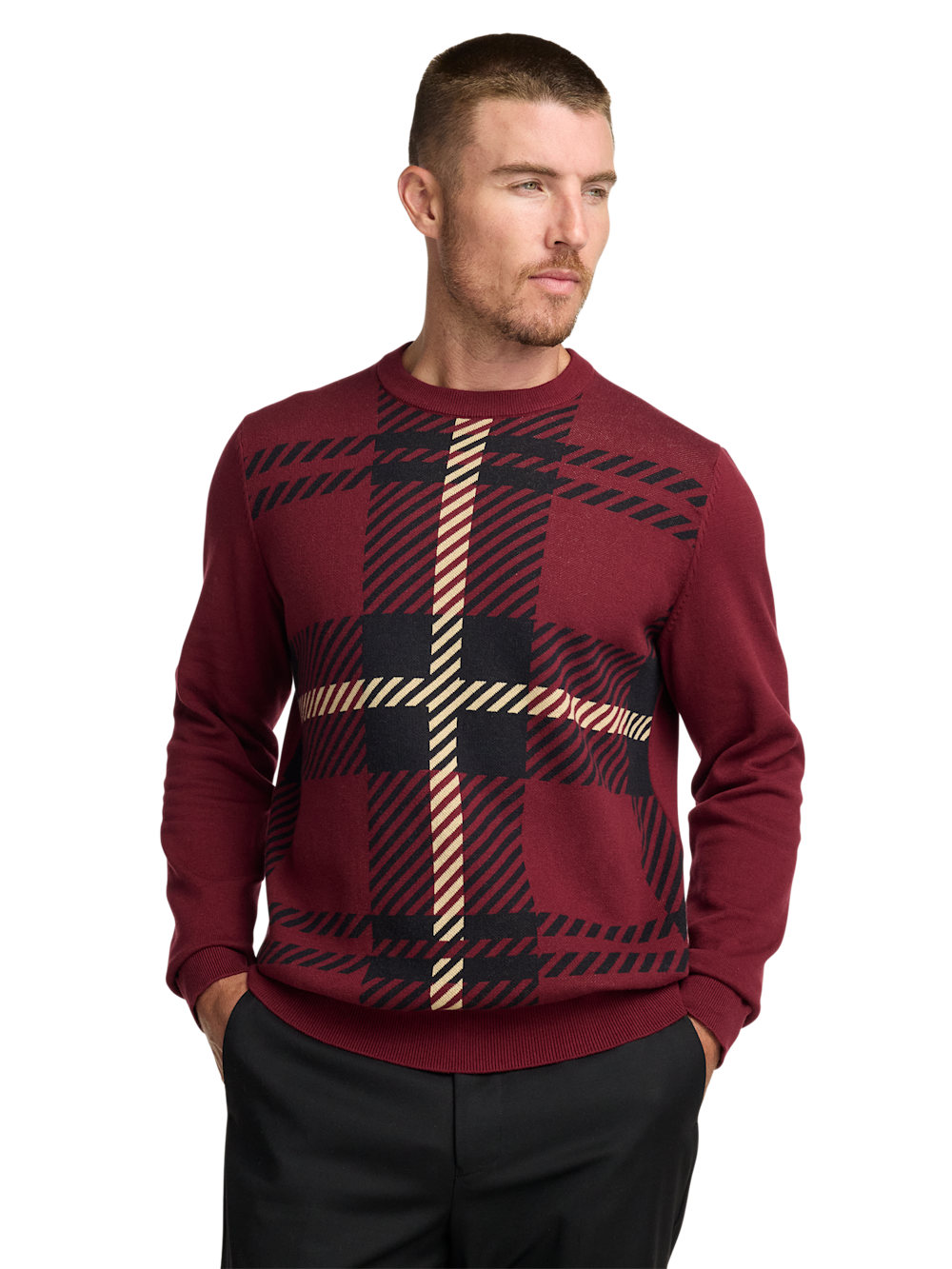Cotton Crewneck Sweater - image 2