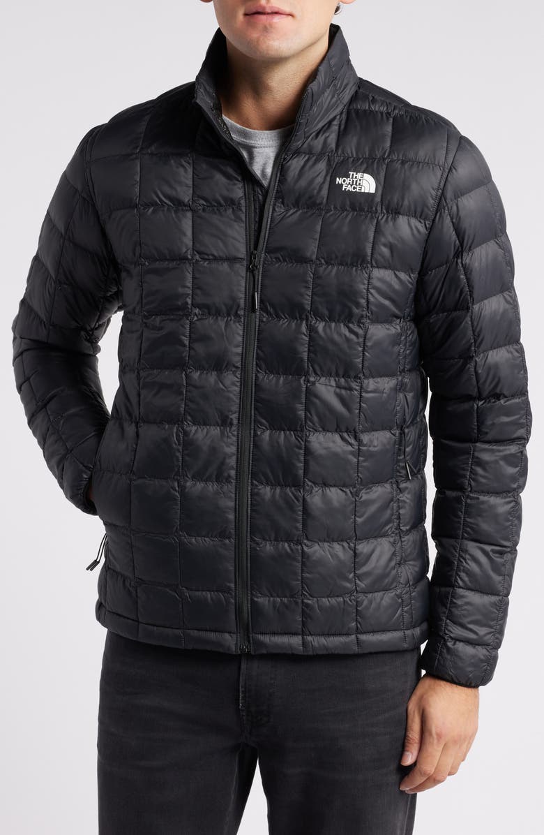 The North Face Thermoball Eco 2.0 Jacket, Alternate, color, 