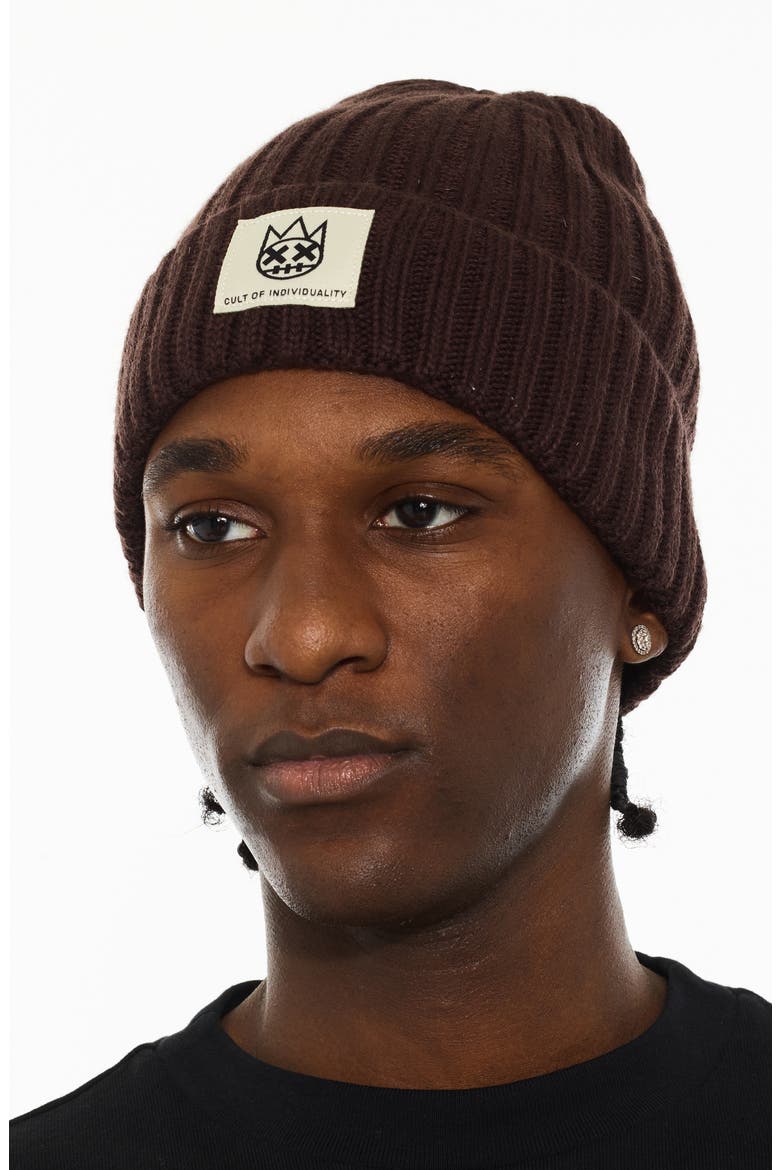 Rib Cuff Wool Blend Beanie, Alternate, color, CHOCOLATE
