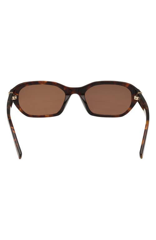 Abercrombie & Fitch 52mm Oval Sunglasses In Brown