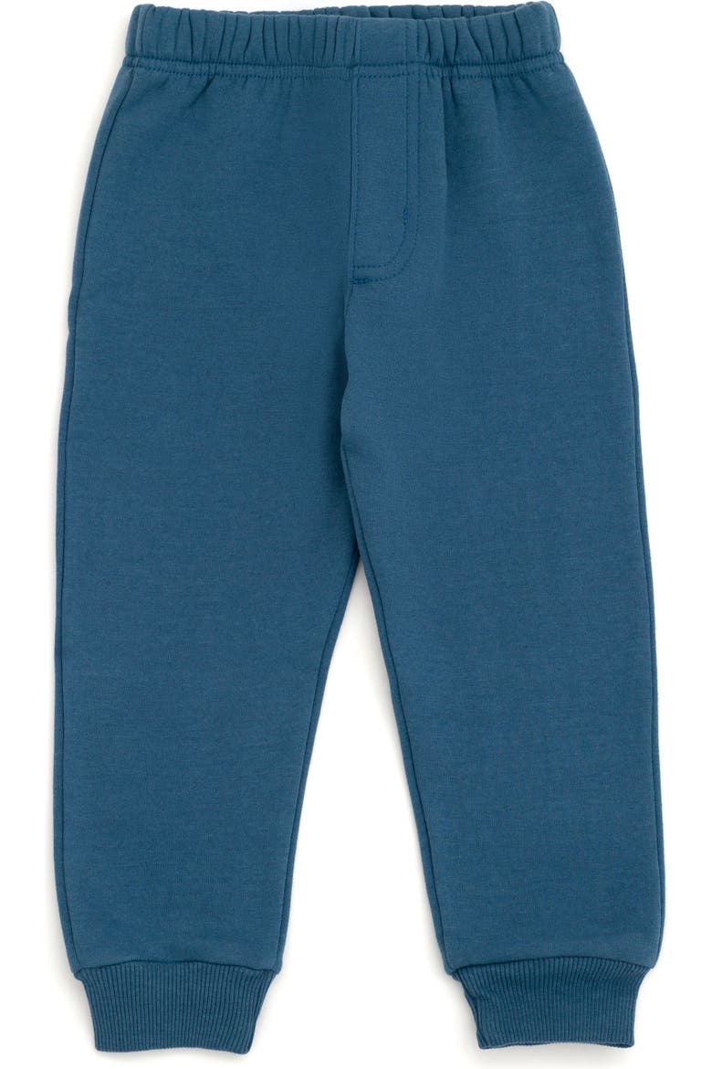 Fleece 2-Piece Hoodie and Pants Set, Alternate, color, Bluey AOP Blue
