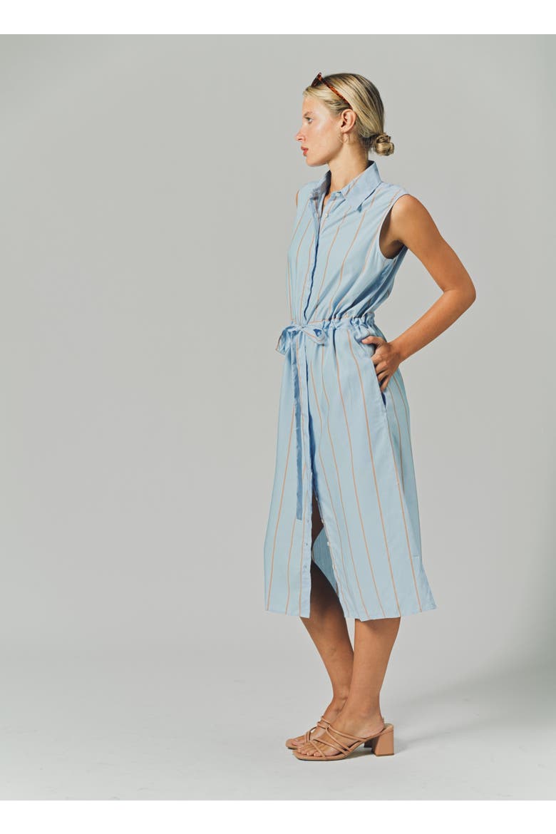 The Sleeveless Midi Dress, Alternate, color, Light Blue/Taupe