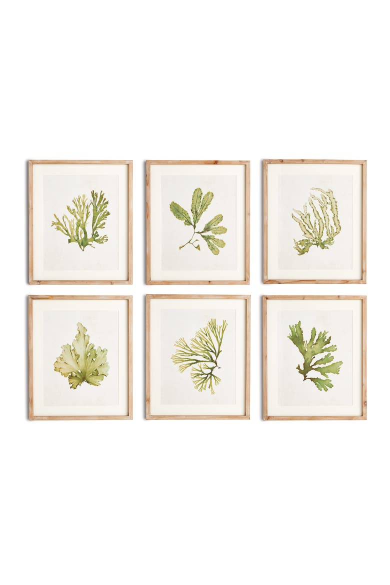 Kelp Prints, Set Of 6, Main, color, Green