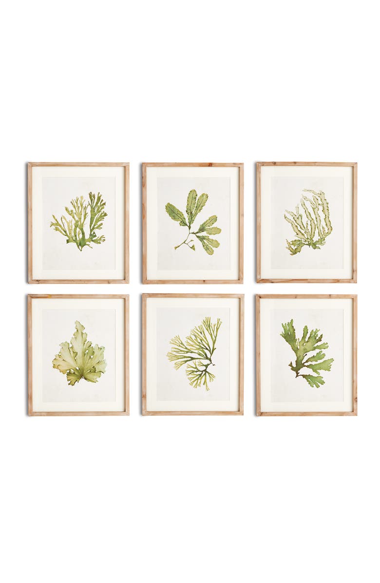 Napa Home & Garden Kelp Prints, Set Of 6, Main, color, Green