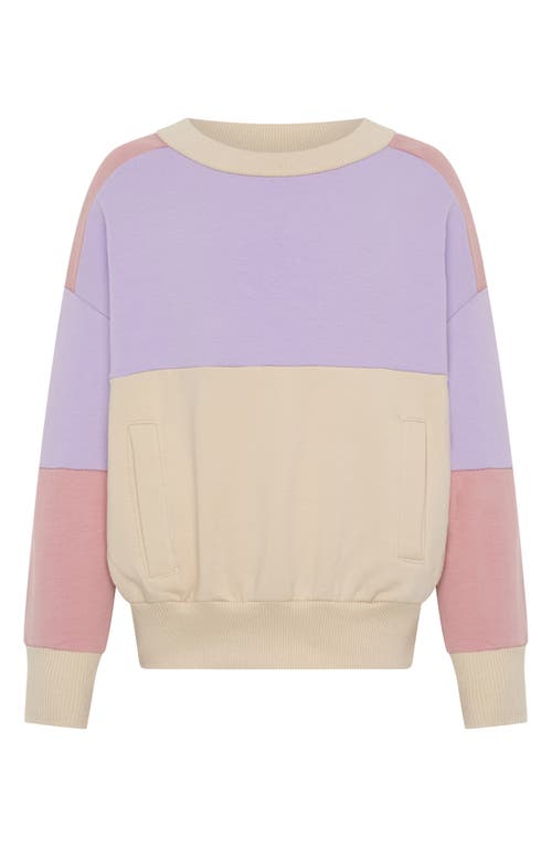Tiny Tribe Kids' Segment Sweatshirt In Purple Multi