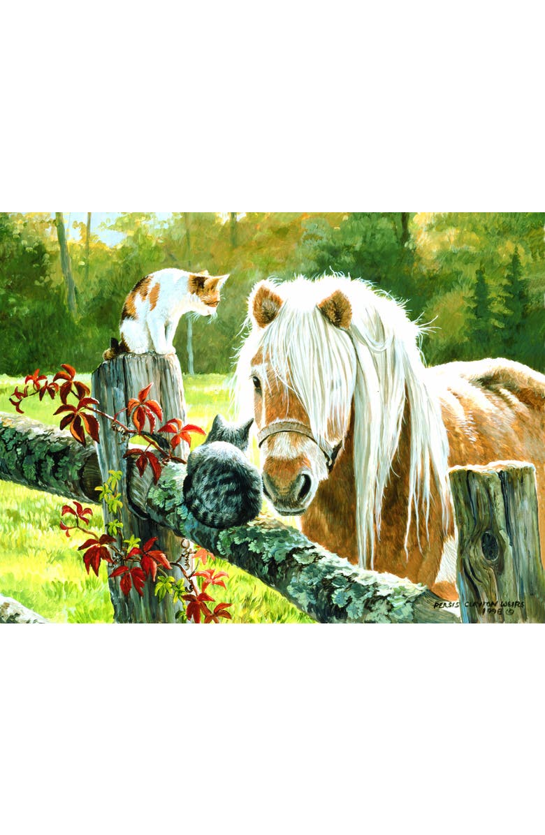 Sunsout Just Visiting 300 piece Jigsaw Puzzle for Adults, Alternate, color, Multicolor