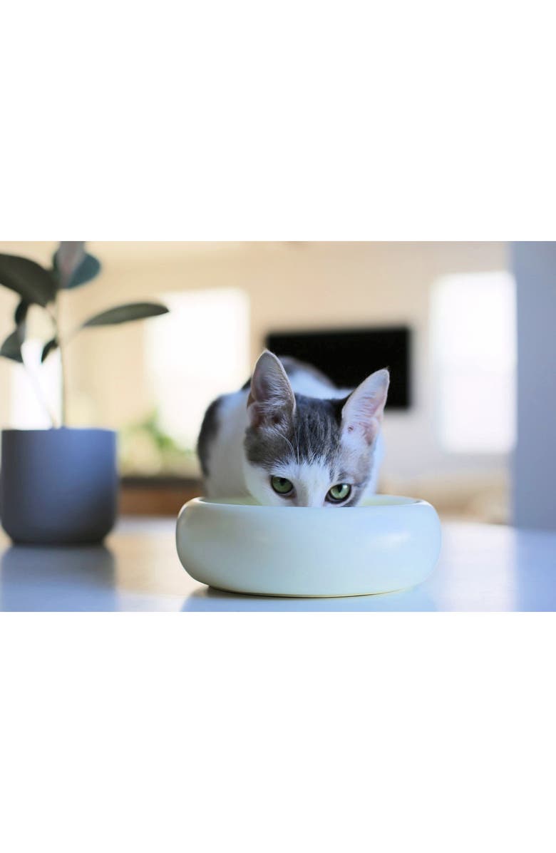 Catenary Halo Cat Bowl, Alternate, color, White