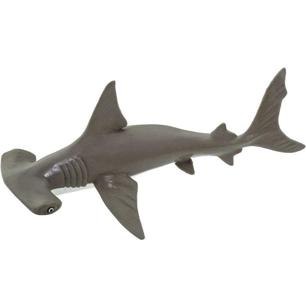 Safari Ltd. Hammerhead Shark Baby