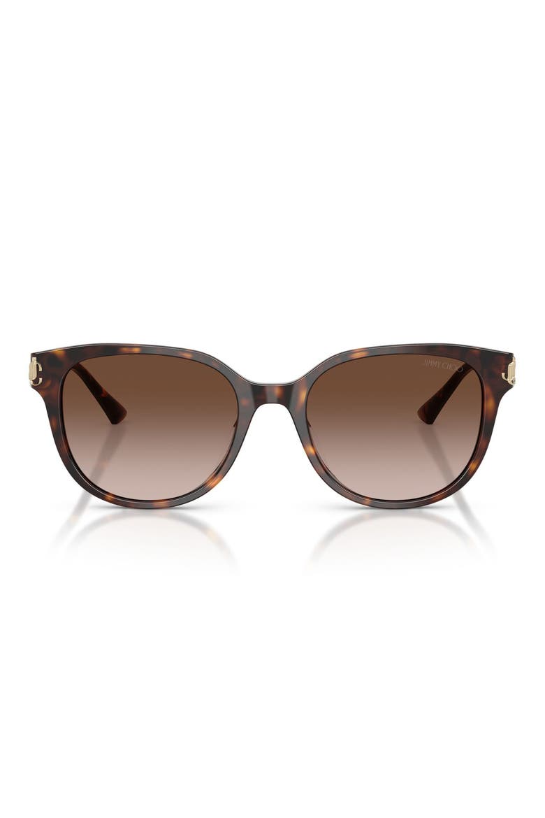 55mm Gradient Phantos Sunglasses, Main, color, HAVANA / GRADIENT BROWN