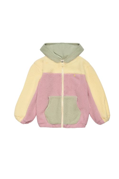 The Sunday Collective Kids' Polar Fleece Zip Up In Multi