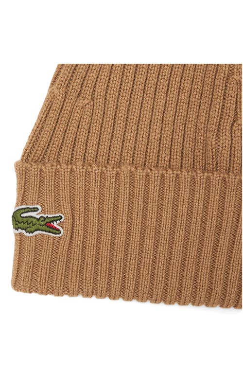 Lacoste Wool Cuff Beanie In Brown