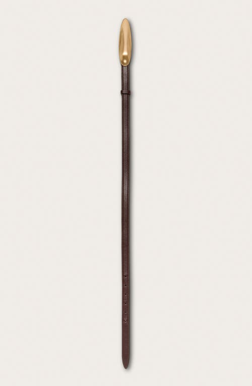 Cult Gaia Fiore Leather Belt In Espresso