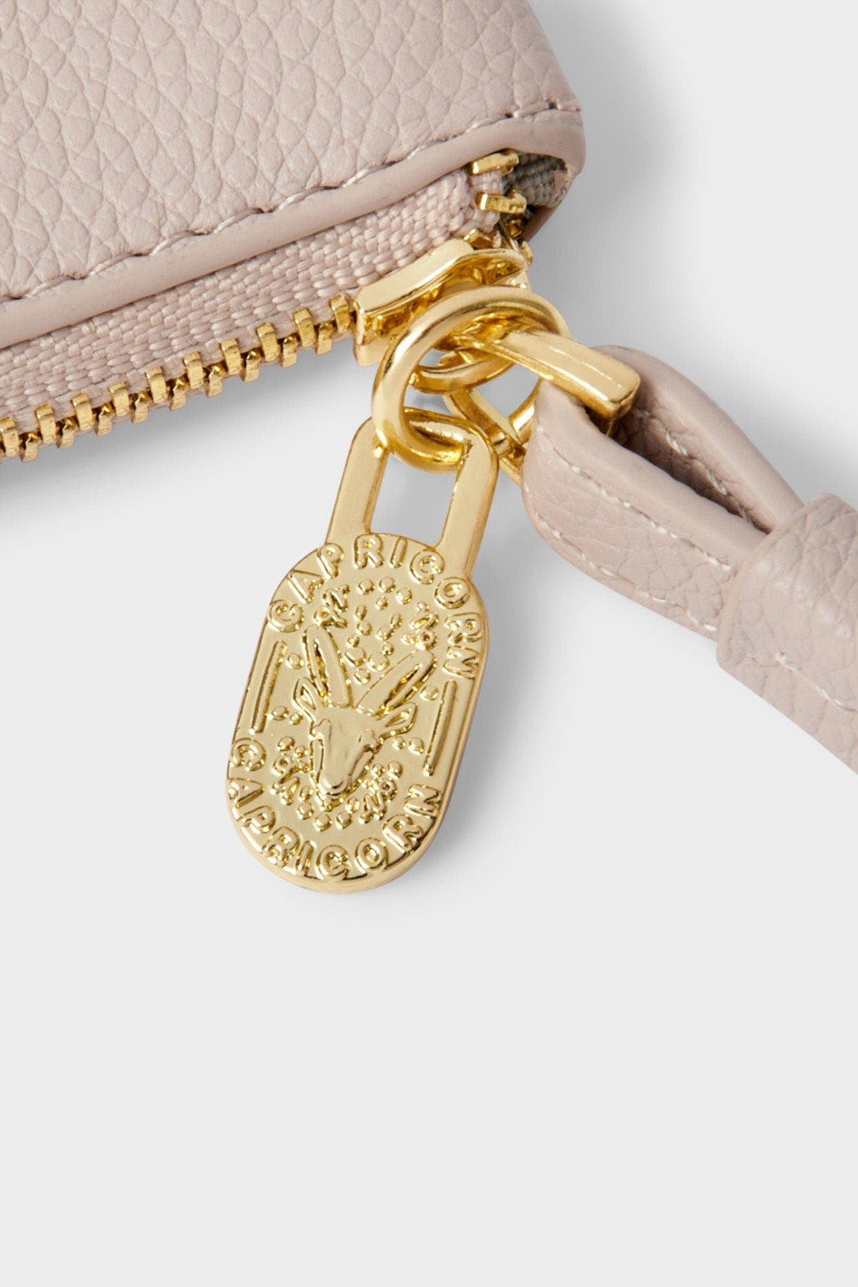 Zodiac Wristlet Pouch, Alternate, color, Capricorn