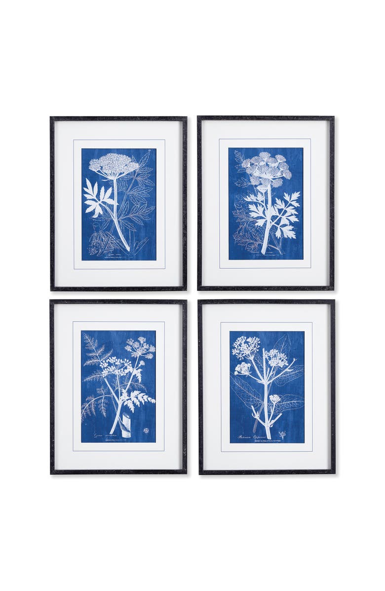 Napa Home & Garden Cyanotype Queen Annes Lace Prints Set of 4, Main, color, 
