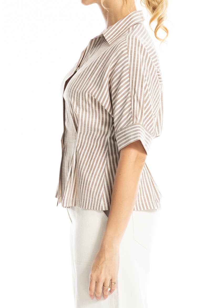 Stripe Button-Up Shirt, Alternate, color, BLUSH/ BROWN FRAME STRIPE
