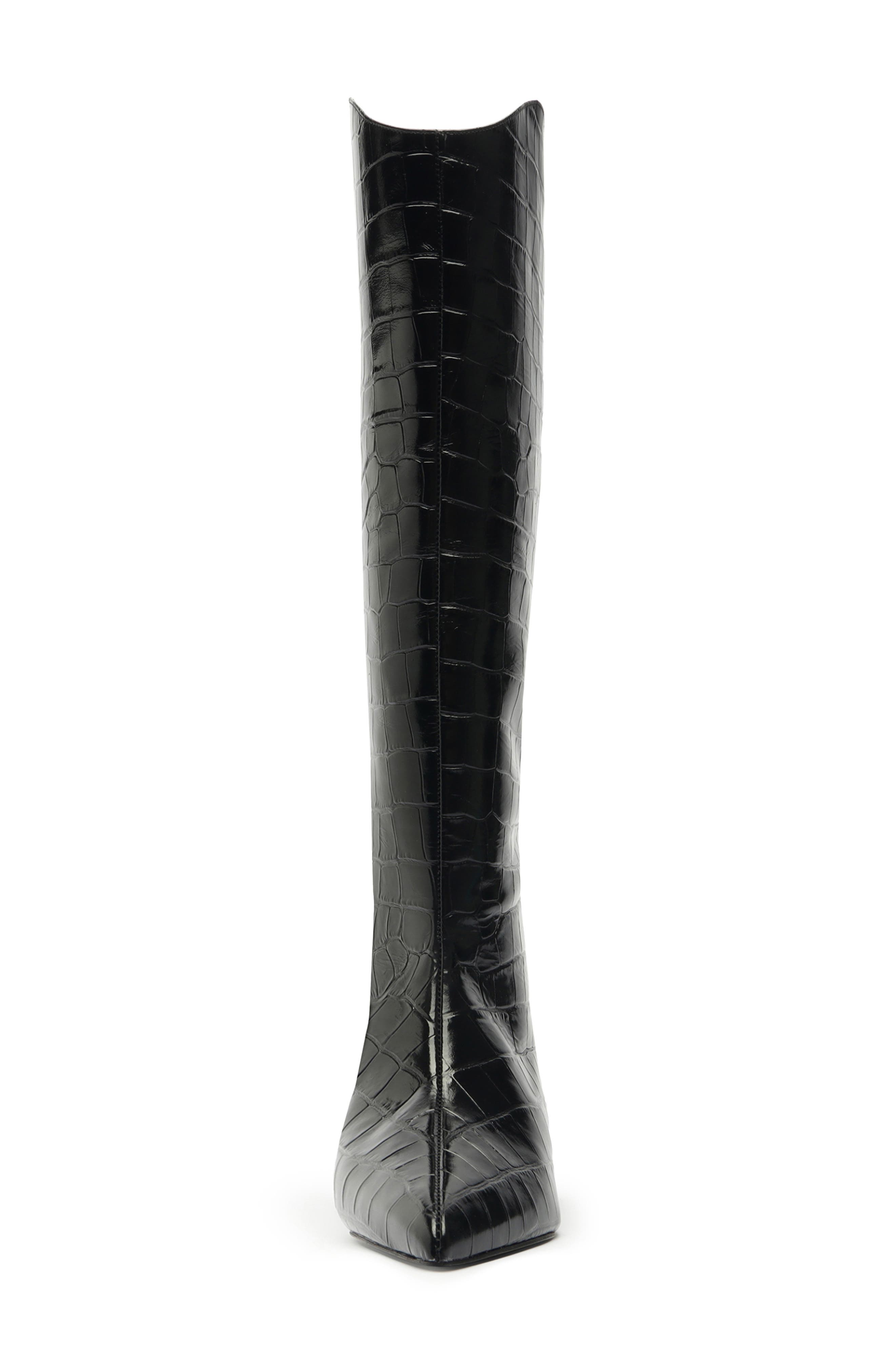 Schutz Maryana Lo Pointed Toe Knee High Boot, Alternate, color, Black