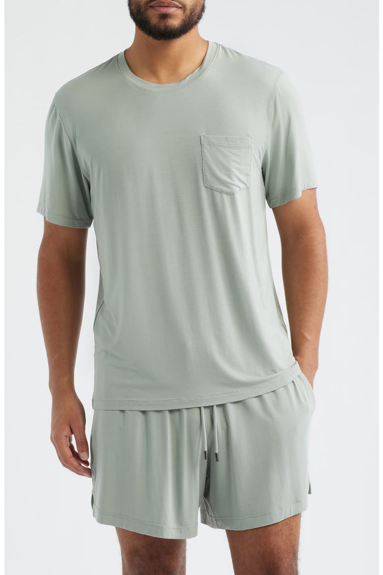 Stretch Modal & Silk Sleep T-Shirt, Main, color, SAGE