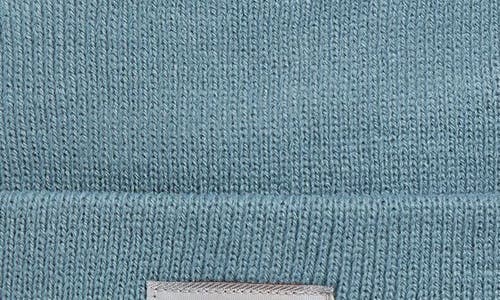 Carhartt Work In Progress Short Watch Beanie In Blue