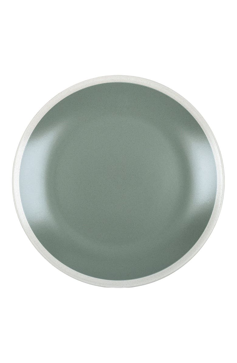 Stone Lain Serenity Stoneware 4-Piece Dinner Plate Set, Alternate, color, Green And Cream