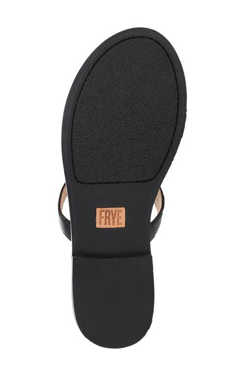 Frye Taylor Logo Sandal In Black