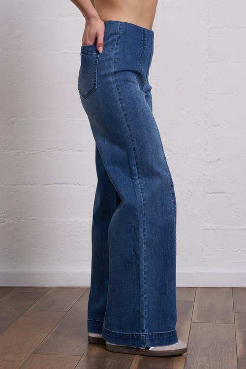 Franne Golde Original Stretch Magic Pant In Blue
