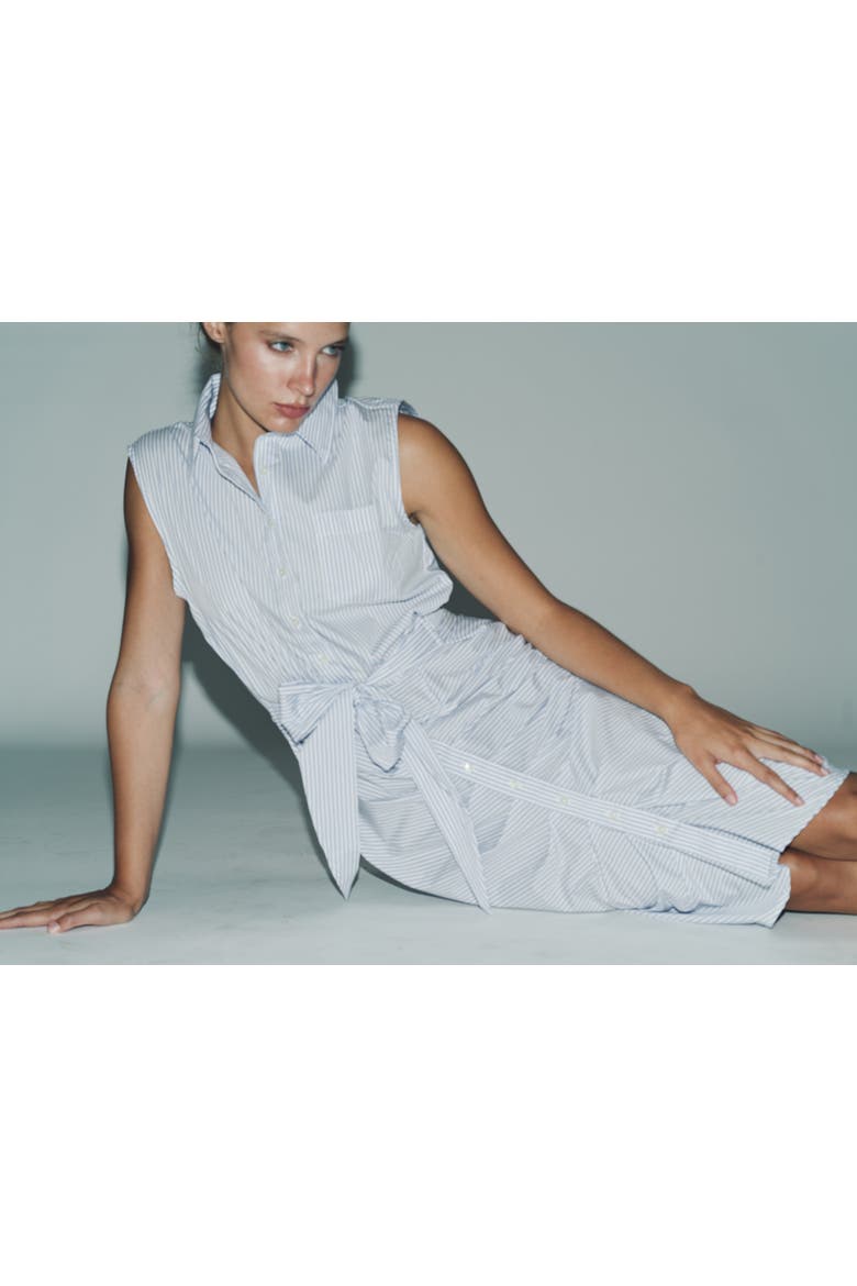 The Sleeveless Wrap Front Dress, Alternate, color, Blue/White