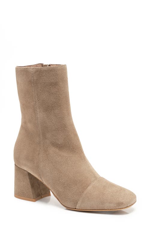 Free People Wisteria Cap Toe Bootie In Brown
