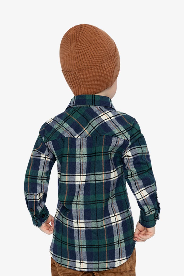 Plaid Button Front Shirt Collar Shirt, Alternate, color, Blue and Green Checks