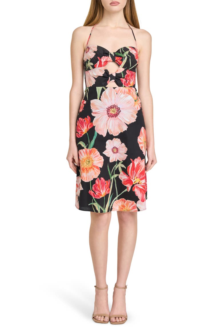 In Bloom Cutout Detail Halter Neck Stretch Cotton Dress, Main, color, BLACK POPPIES