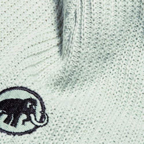 Mammut Sublime Beanie In Gray