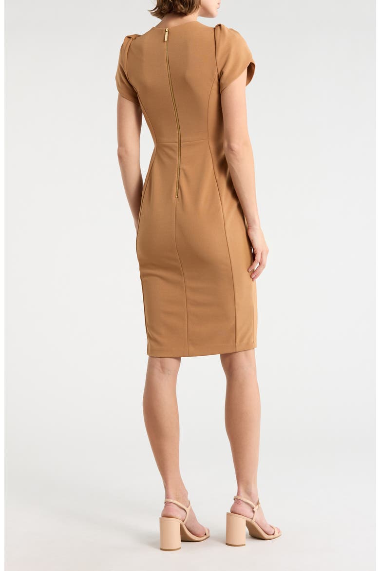 Tulip Sleeve Sheath Dress, Alternate, color, LUGGAGE