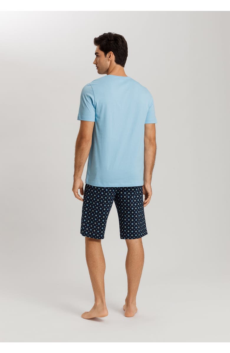 Hanro Night And Day V-Neck Cotton Pajama Set, Alternate, color, 