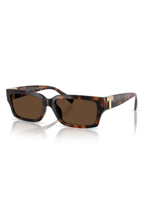 Tiffany & Co . 56mm Rectangular Sunglasses In Havana