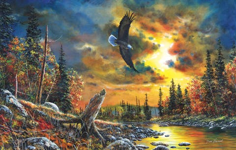 Sky Watcher 1000 piece Jigsaw Puzzle for Adults