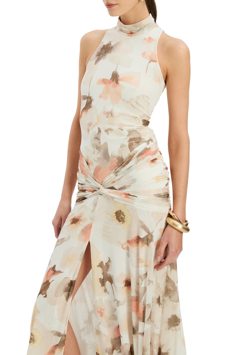 Leanna Floral Mesh Maxi Dress, Alternate, color, IVORY FLORAL