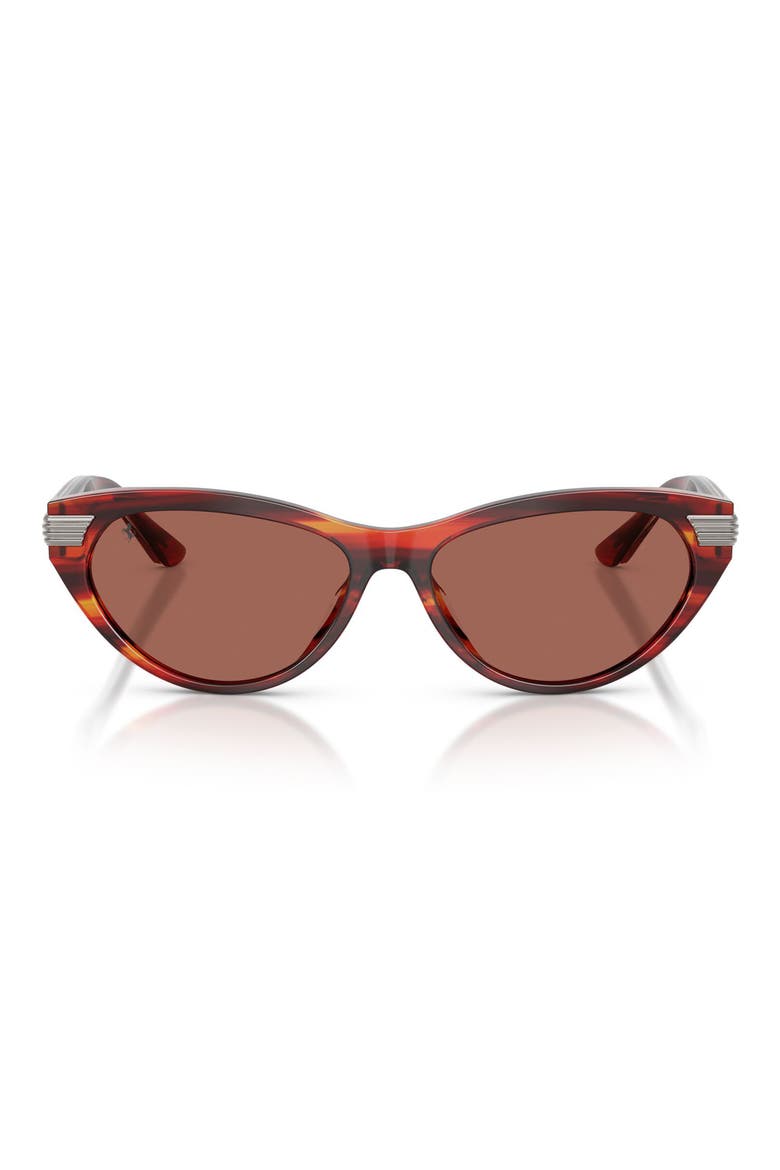 56mm Cat Eye Sunglasses, Main, color, STRIPED BROWN / BROWN