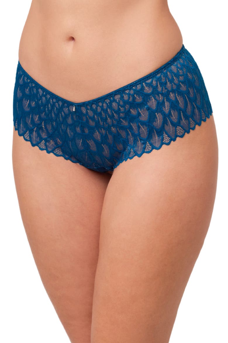 Feather Lace Brazilian Briefs, Main, color, PEACOCK