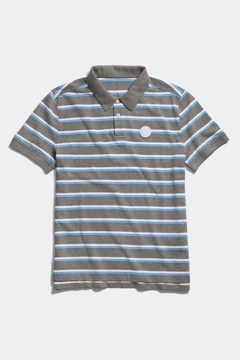 Beckley Striped Polo Tonal Disc, Main, color, Grey Melange Moncton Stripe