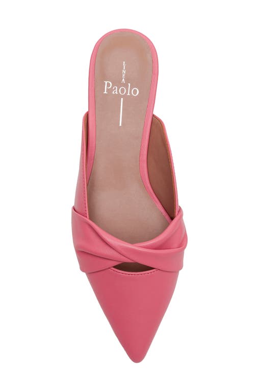Linea Paolo Agneta Mule