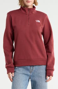 The North Face Evolution Simple Dome Regular Quarter Zip Pullover