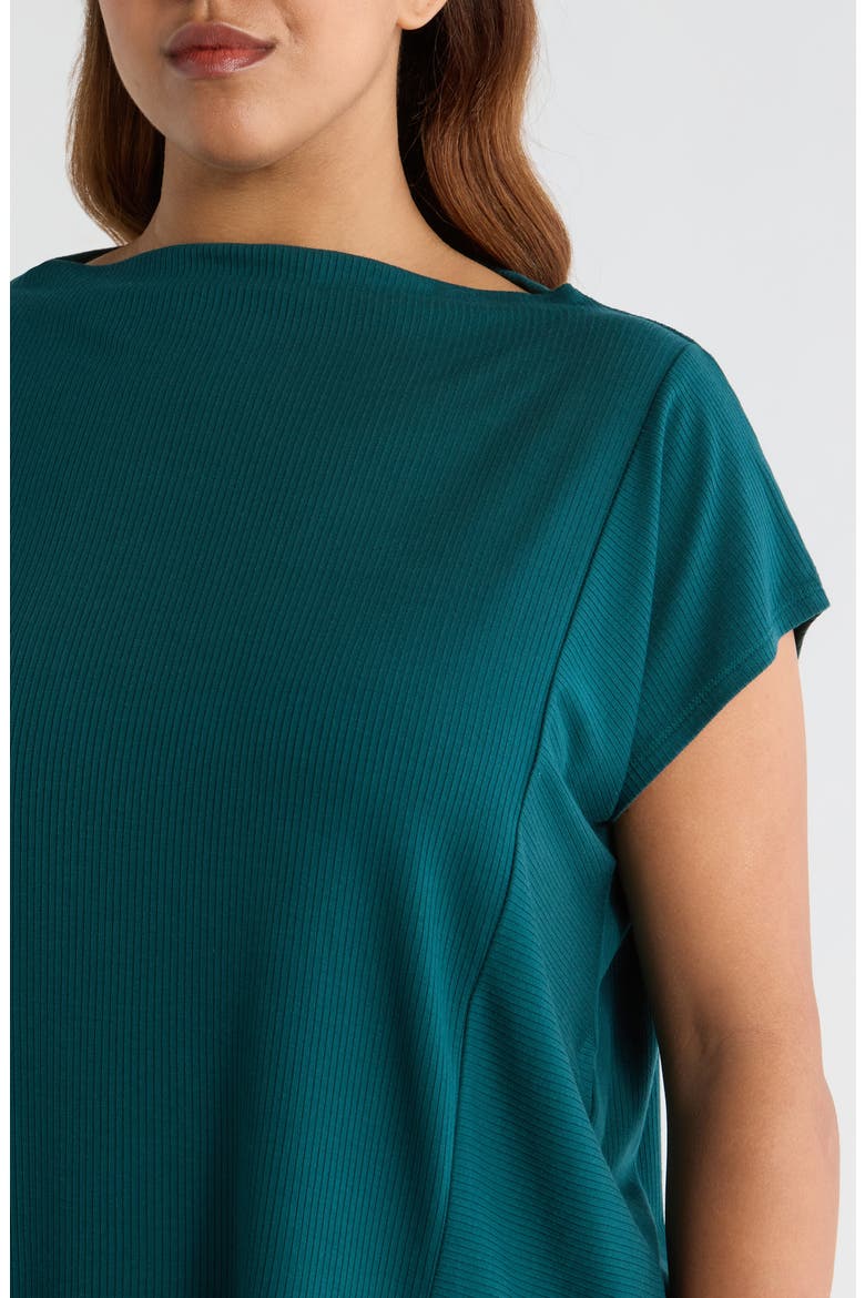 Rib Boxy Funnel Neck Top, Alternate, color, KELP
