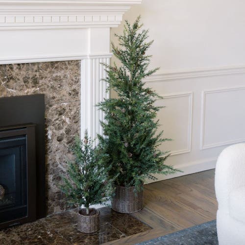 Cg Hunter 2' Pine Tree In Green